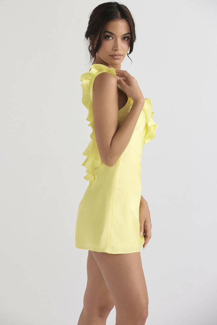 BELLA MINI DRESS